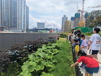 由 SEB ASIA 誠意贊助免費親子活動